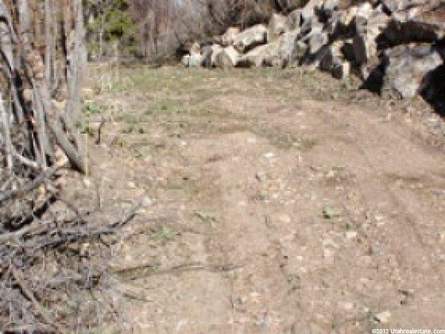40 Oak Hvn, Midway, UT 84049 — photo 6