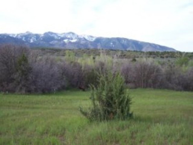 1150 E Meadow Vly, Fillmore, UT 84631 — photo 3