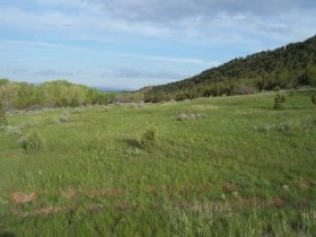 1150 E Meadow Vly, Fillmore, UT 84631 — photo 4