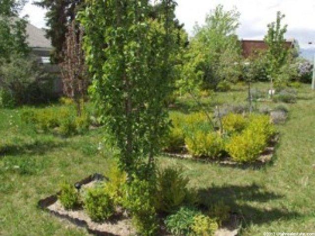 7802 S Allen St, Midvale, UT 84047 — photo 8