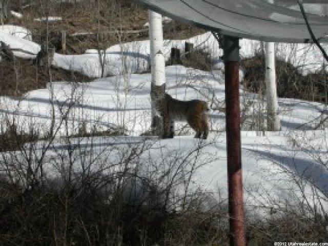 90 Beaver Spgs, Oakley, UT 84055 — photo 7