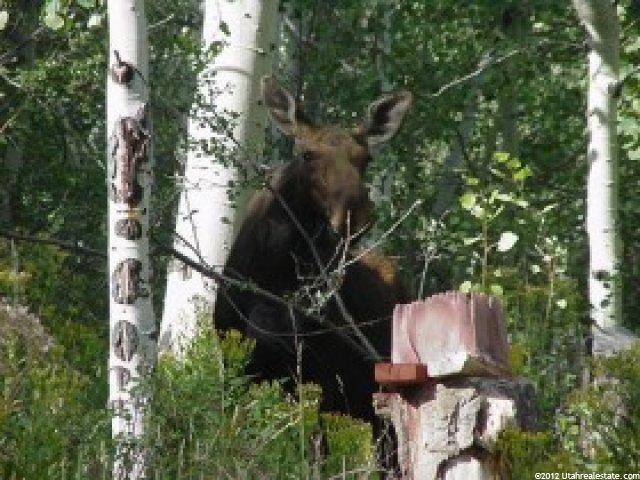 90 Beaver Spgs, Oakley, UT 84055 — photo 8