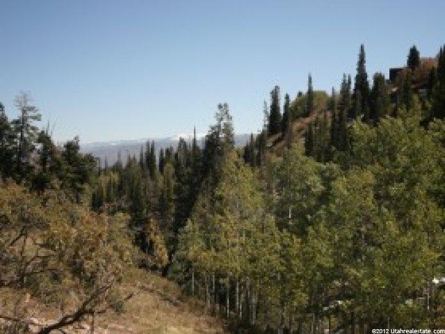 6 Pine Loop Rd, Wanship, UT 84017 — photo 6