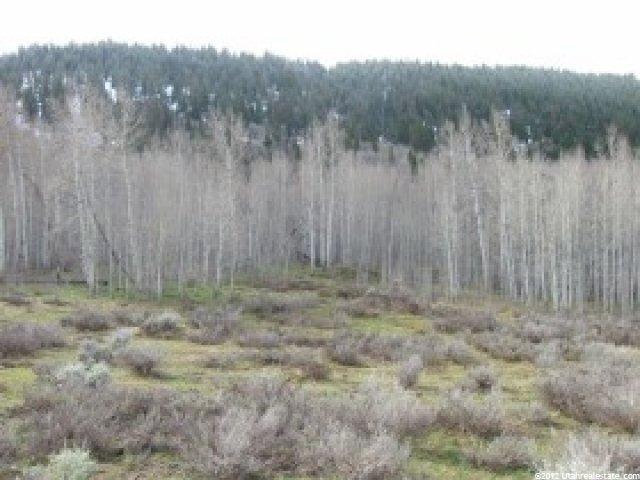 684 Conifer Dr #684, Oakley, UT 84055 — photo 3