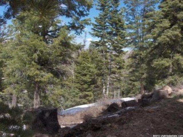 52 Iroquois Loop #52-A, Wanship, UT 84017 — photo 2