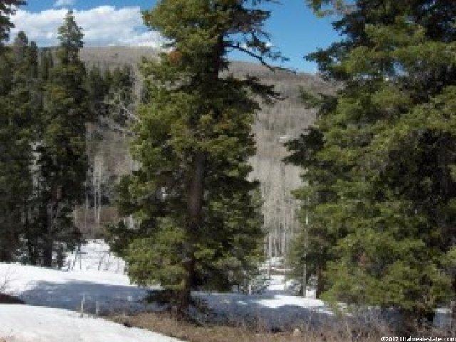 52 Iroquois Loop #52-A, Wanship, UT 84017 — photo 4