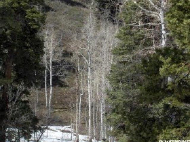52 Iroquois Loop #52-A, Wanship, UT 84017 — photo 5