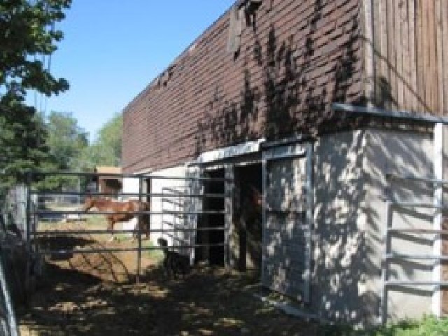 590 E 10600 S, Sandy, UT 84070 — photo 4