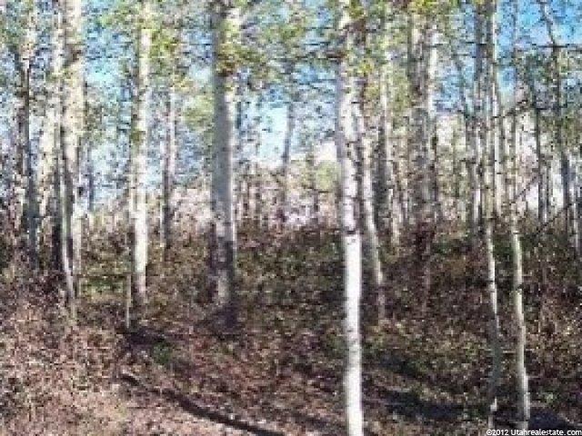 124 Moose Hollow #124, Oakley, UT 84055 — photo 2