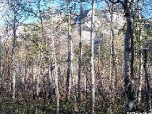 124 Moose Hollow #124, Oakley, UT 84055 — photo 3