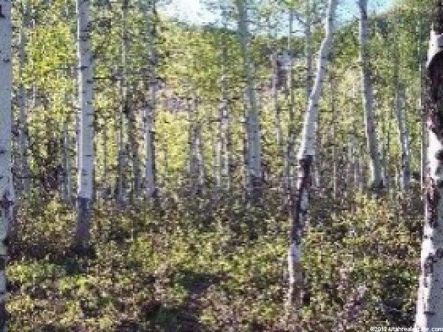124 Moose Hollow #124, Oakley, UT 84055 — photo 4