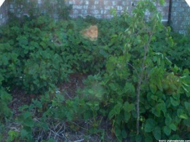 186 Freedom Ln, Ogden, UT 84401 — photo 7
