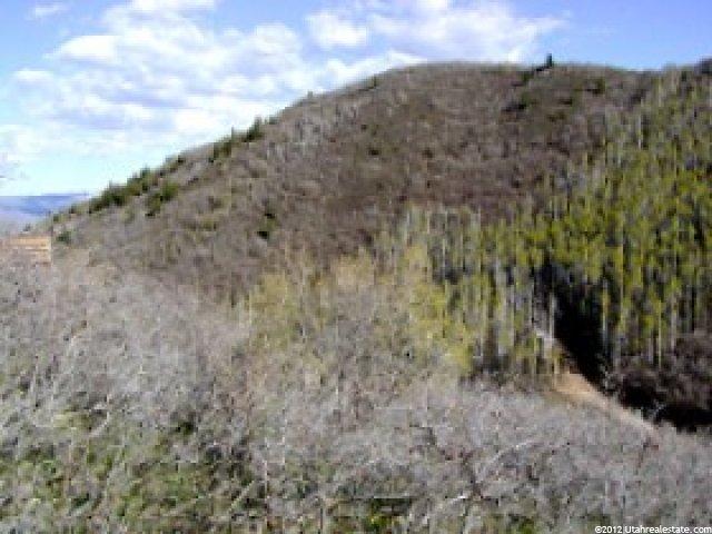 153 Sage Cir #153, Midway, UT 84049 — photo 3