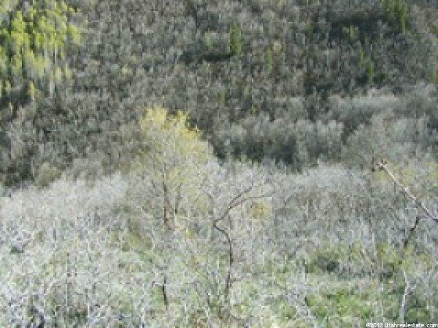 153 Sage Cir #153, Midway, UT 84049 — photo 5