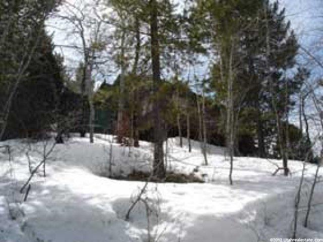 76 Hidden, Oakley, UT 84055 — photo 5