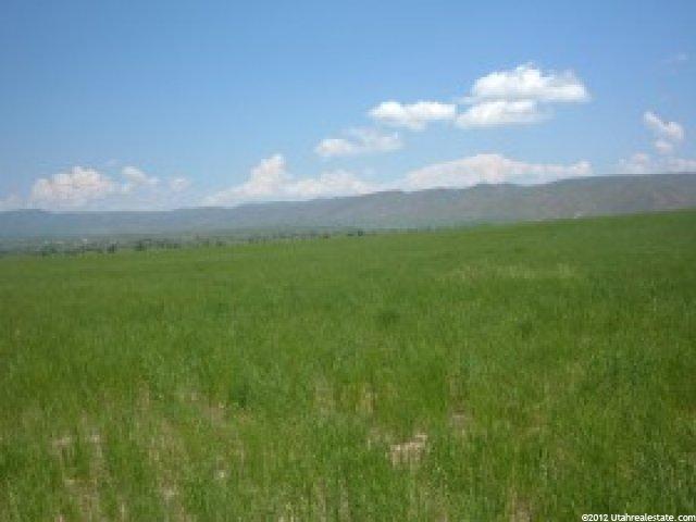 3700 E Cemetery Rd, Dingle, ID 83233 — photo 2