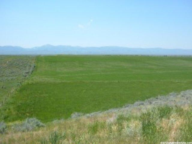 3700 E Cemetery Rd, Dingle, ID 83233 — photo 3