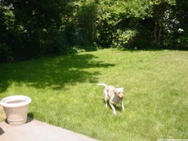 3506 Madison Ave, Ogden, UT 84403 — photo 8