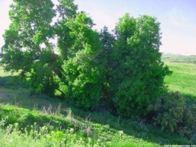 845 W 150 N #18, Hyrum, UT 84319 — photo 4