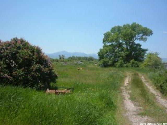3100 Dingle Rd, Dingle, ID 83233 — photo 2