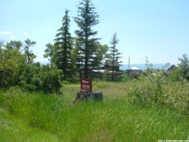3100 Dingle Rd, Dingle, ID 83233 — photo 4