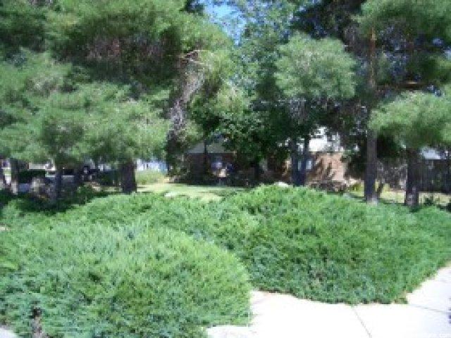 1381 W 1075 N, Layton, UT 84041 — photo 5