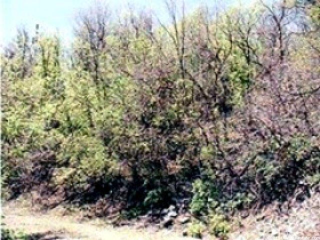 79 Aspen Dr #79, Midway, UT 84049 — photo 3