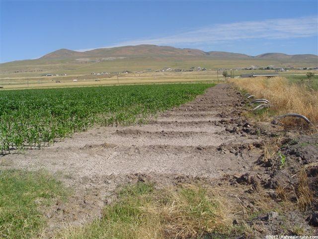 8300 W 11200 N, Tremonton, UT 84337 — photo 7