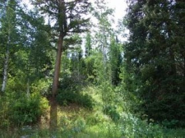 6580 Canyon Dr, Park City, UT 84098 — photo 3