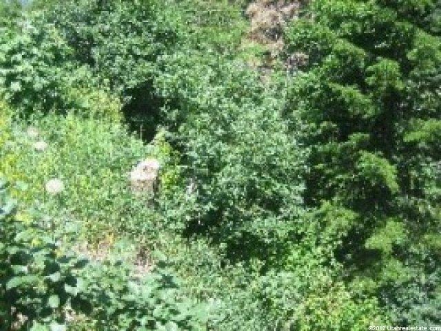 370 Upper Evergreen Dr #69, Park City, UT 84098 — photo 5