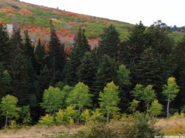 7346 N Pinebrook Rd E, Park City, UT 84098 — photo 5