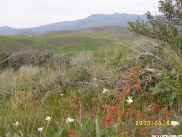 6145 E Highway 36 Malad Ida, Oneida County, ID 83252 — photo 3