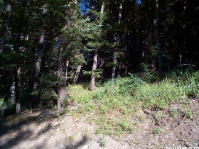 375 Matterhorn Dr, Park City, UT 84098 — photo 2