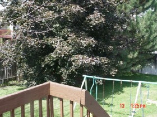 4385 S 2900 W, Roy, UT 84067 — photo 5