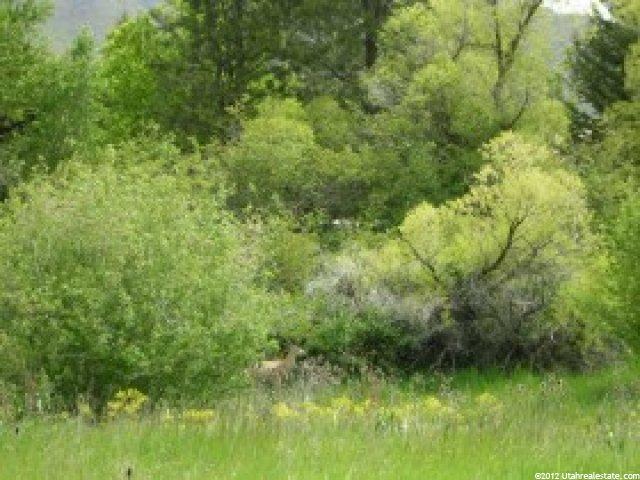 3390 N 5100 Res E, Eden, UT 84310 — photo 5