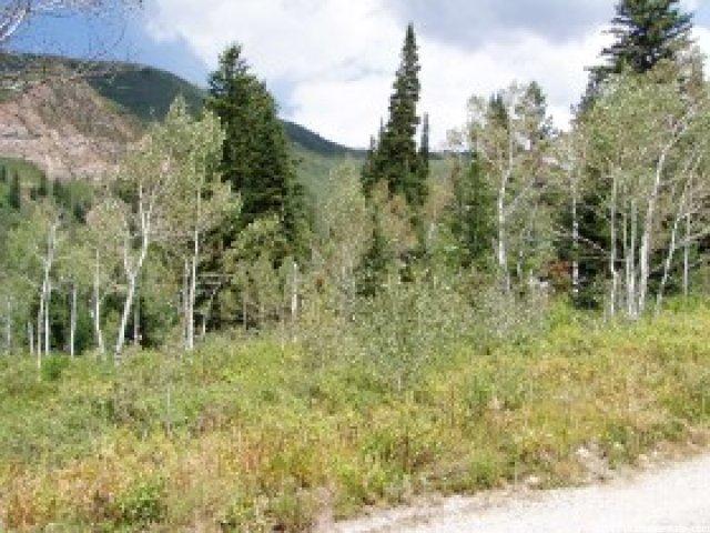9400 E 5500 S #219, Brighton, UT 84121 — photo 4
