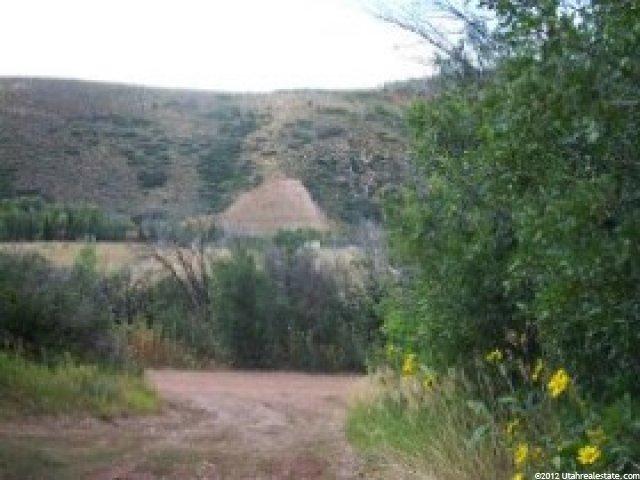 1624 Weber Wild Rd, Oakley, UT 84055 — photo 3