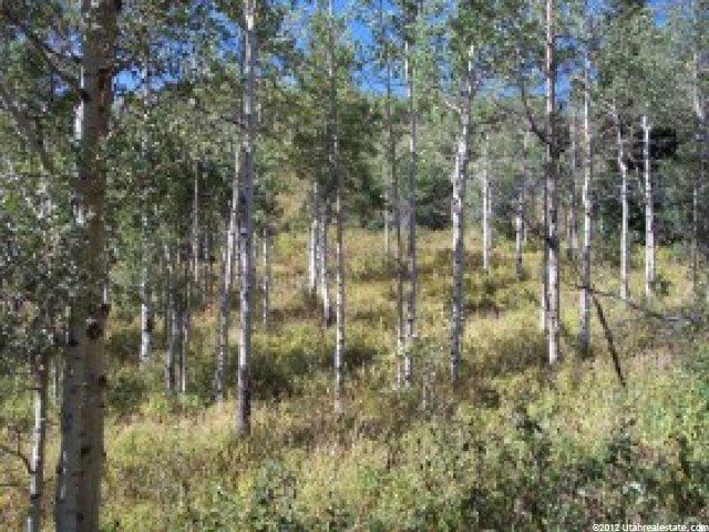 72 Upper Cove Rd #72, Park City, UT 84098 — photo 6