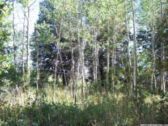 72 Upper Cove Rd #72, Park City, UT 84098 — photo 7