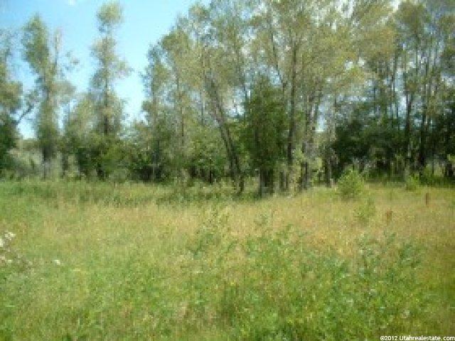 1120 E 100 N, Dingle, ID 83233 — photo 6