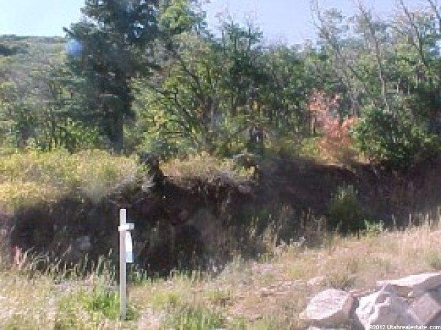 6990 Canyon Dr, Park City, UT 84098 — photo 2