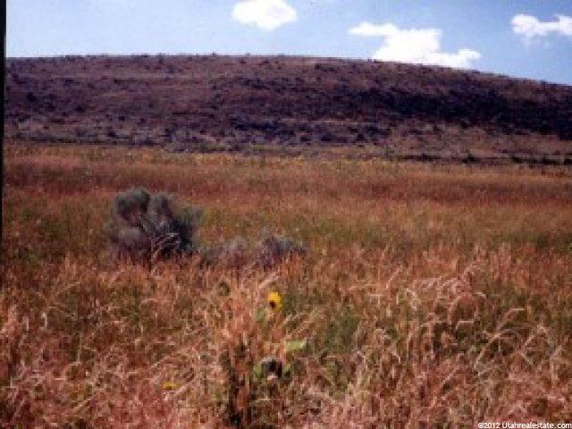10931 Cullimore Ln, Thatcher, UT 84337 — photo 4