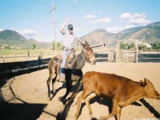 375 W 5500 Bench Rd, Oakley, UT 84055 — photo 5