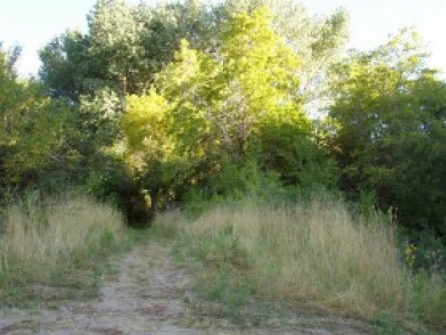 1600 E 6350 S, Uintah, UT 84405 — photo 3