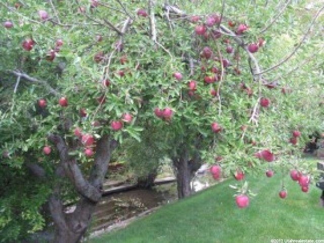 1615 Canyon Rd, Ogden, UT 84404 — photo 6