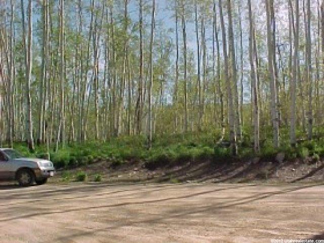 12089 E Beaver Cir #2151, Timber Lakes, UT 84032 — photo 2