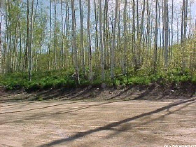 12089 E Beaver Cir #2151, Timber Lakes, UT 84032 — photo 3