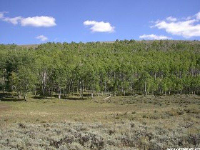 1000 N 2000 W, Scofield, UT 84526 — photo 4