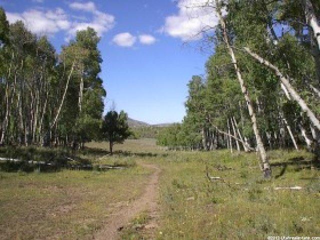 1000 N 2000 W, Scofield, UT 84526 — photo 5