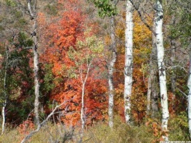 10 Bridge Hollow Rd, Woodland, UT 84036 — photo 3